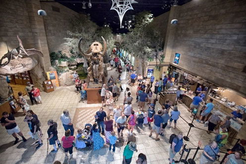 Guest in the Main Hall of the Creation Museum