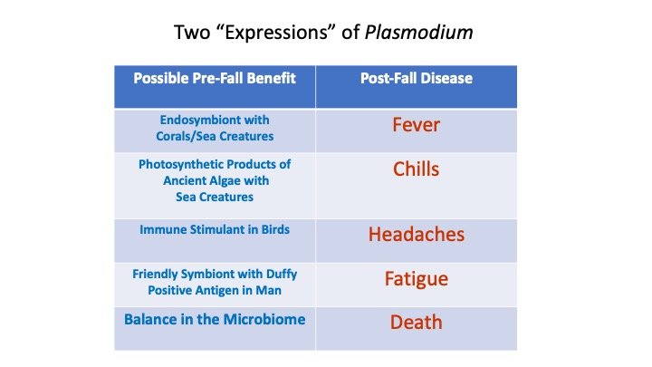 Two 'Expressions' of Plasmodium