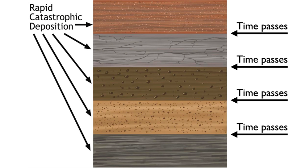Deposition Layer Illustration