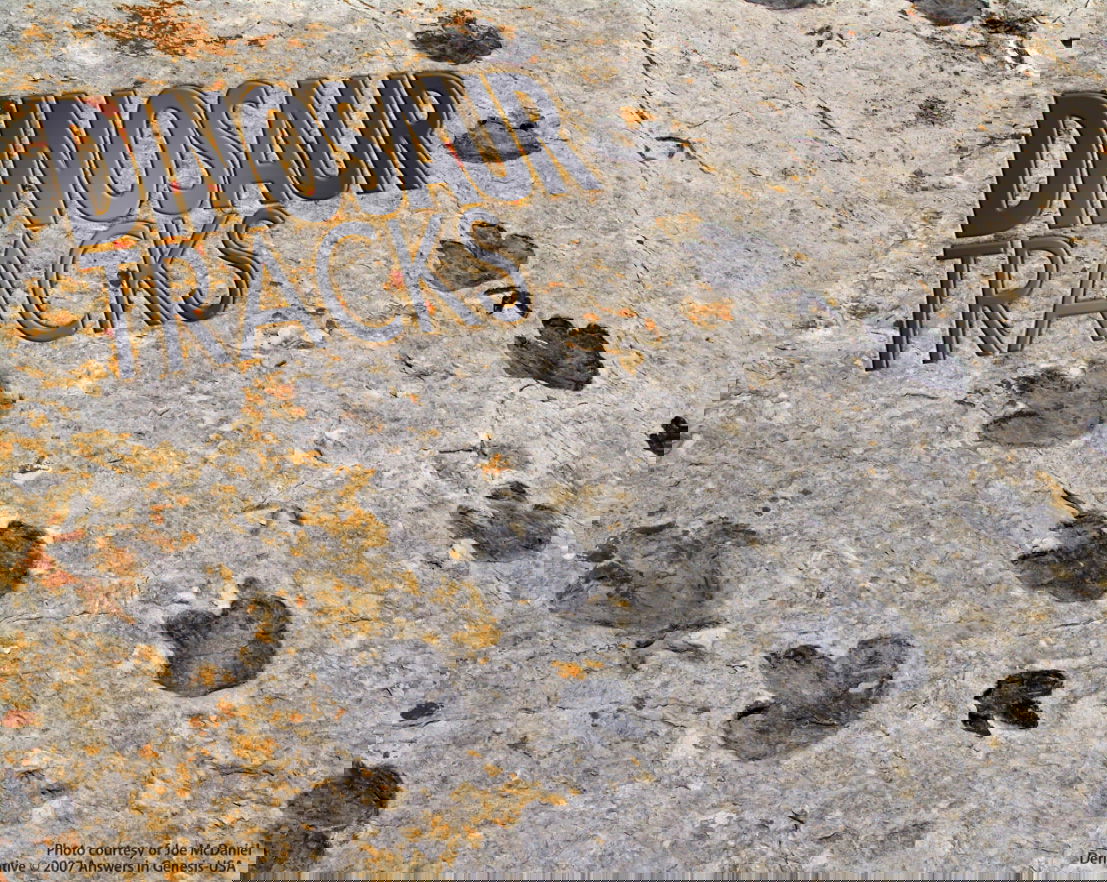 Dinosaur Tracks