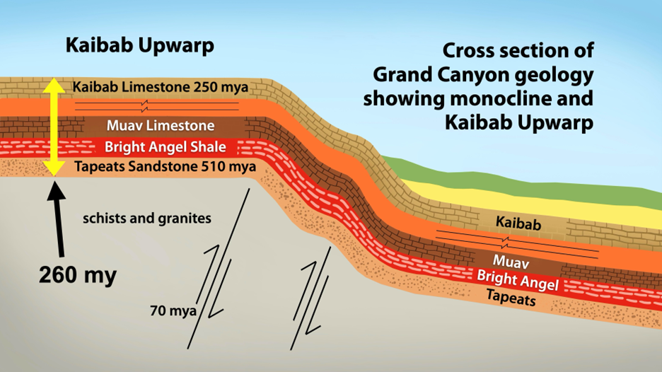 Kaibab Upwarp