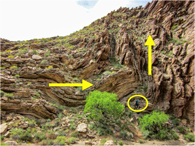 Tapeats Sandstone Fold