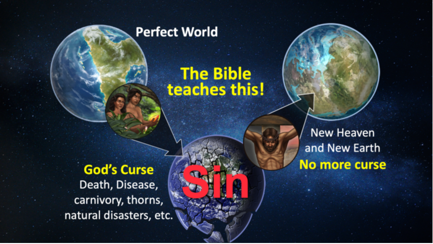 The Bible teaches that the world was perfect before sin