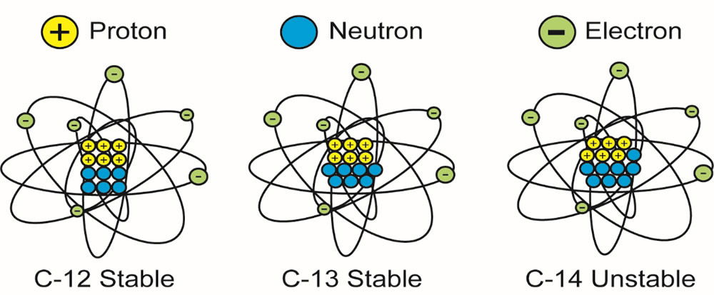 What Are The Stable Isotopes Of Carbon Gizmo