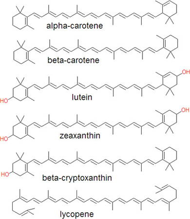 Carotenoid