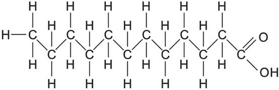 Saturated Fatty Acid