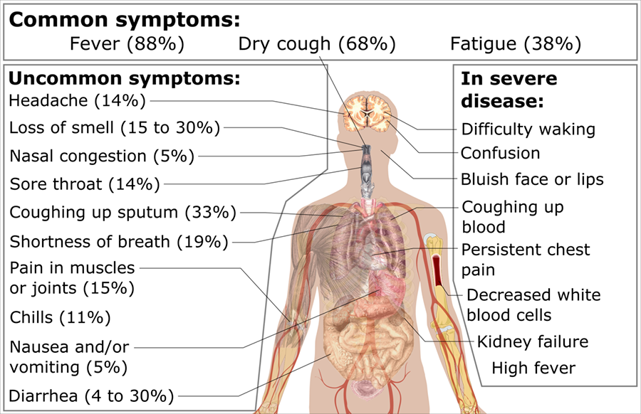 The Genesis of SARSCoV2 Virus and the Origin of the COVID19 Pandemic