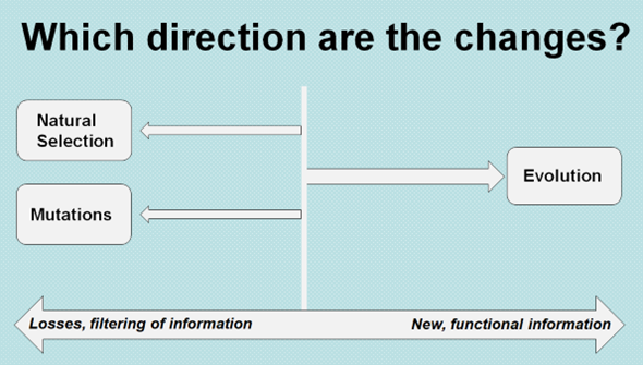 direction of changes chart