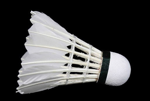 Shuttlecock