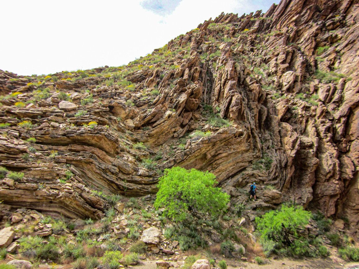 The Carbon Canyon fold