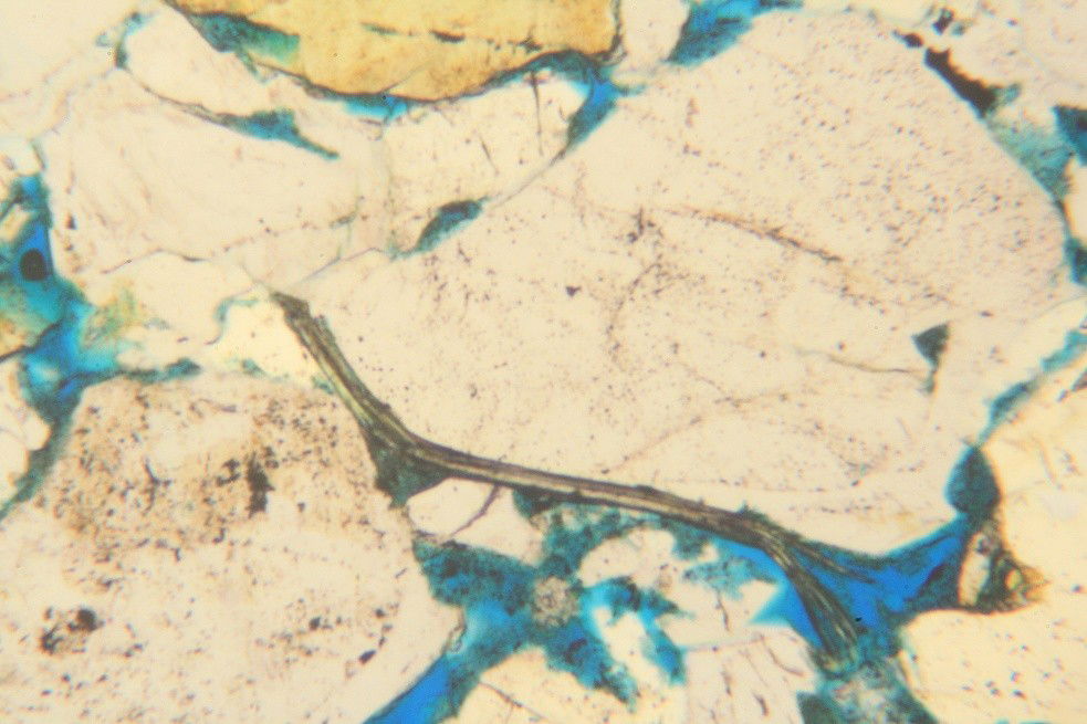 Microscopic image of rock sample