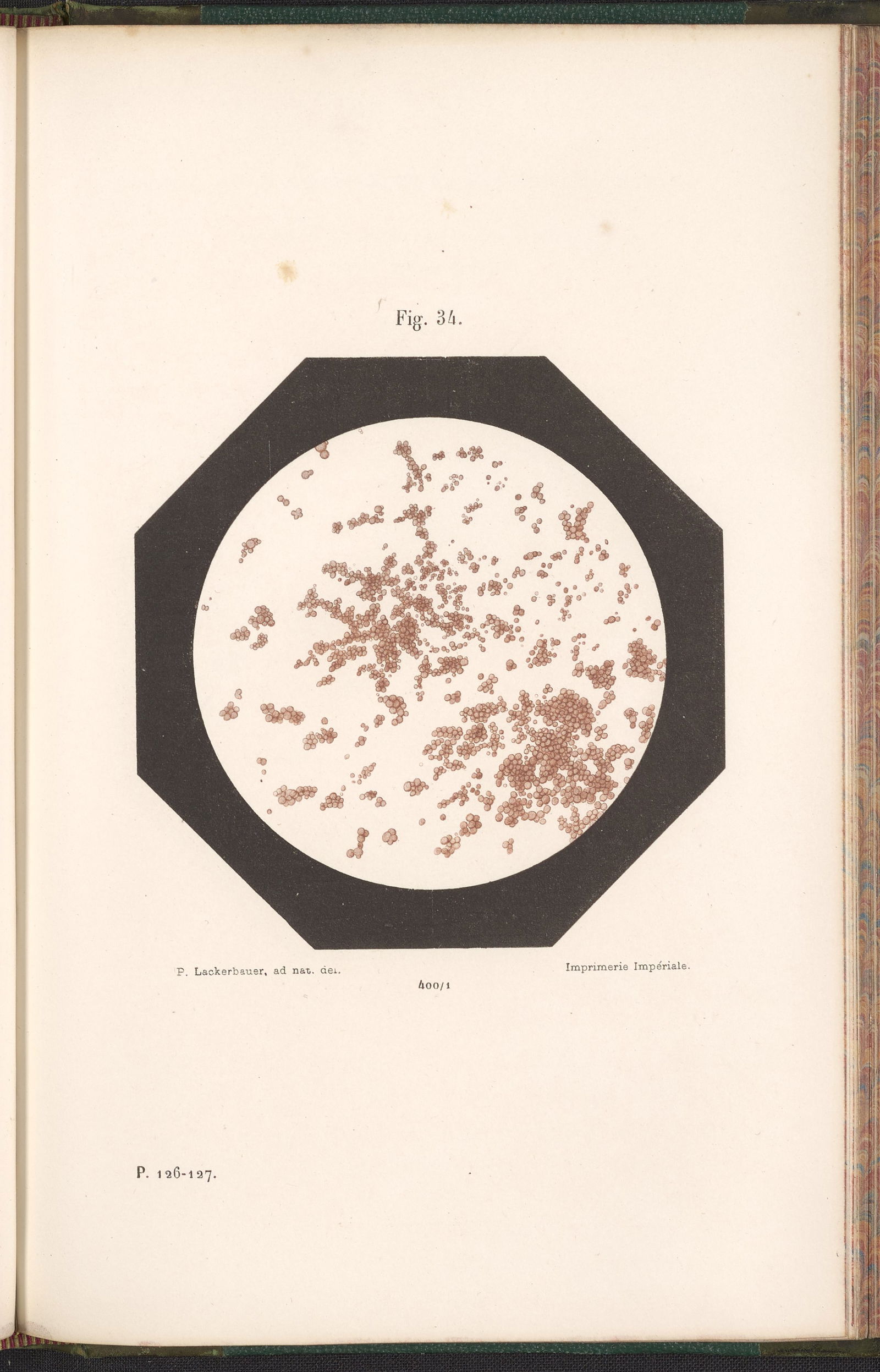 Pasteur’s study of grapes, wine, and wine vinegar