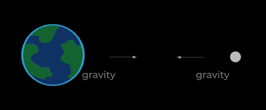 Earth and moon gravity illustration