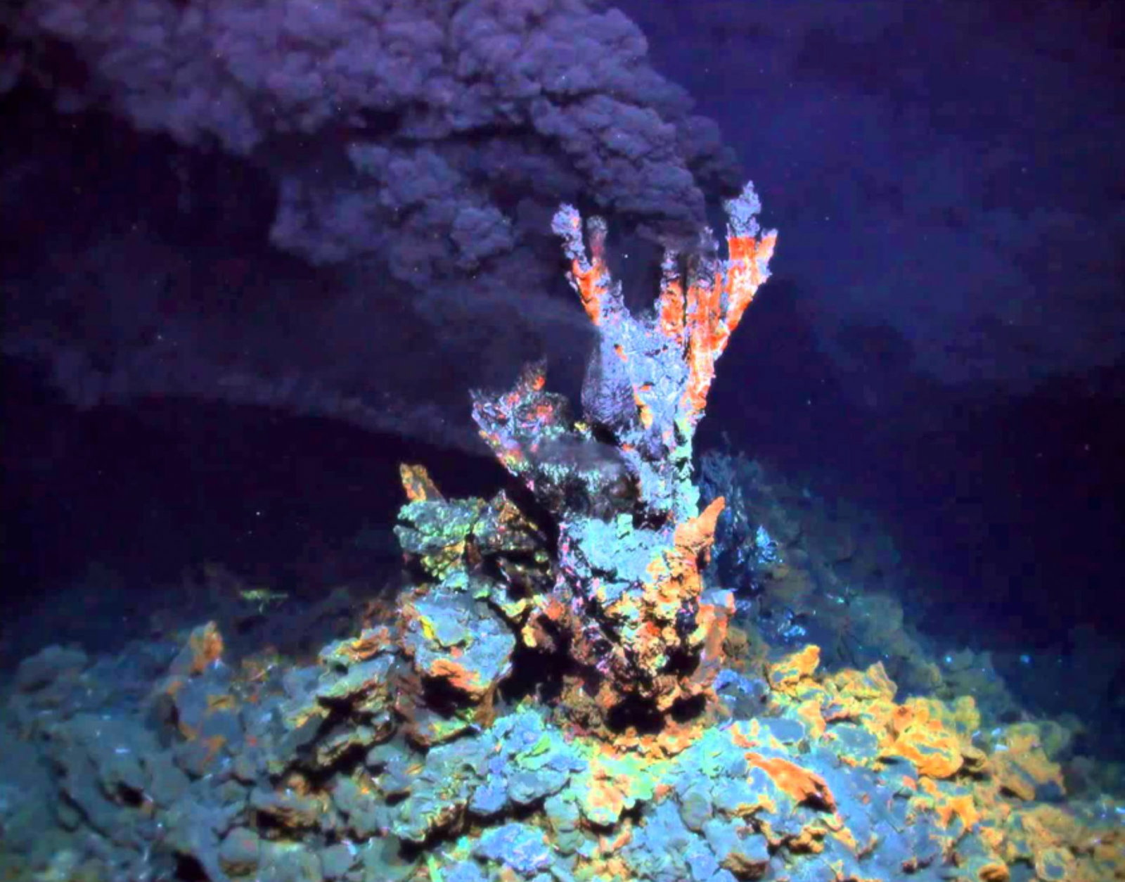 Hydrothermal vent