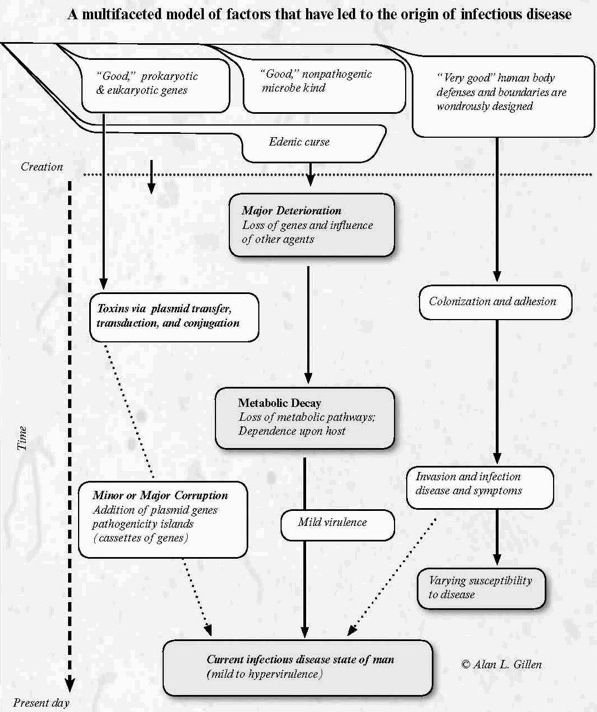 Figure5: Genesis of Germs chart