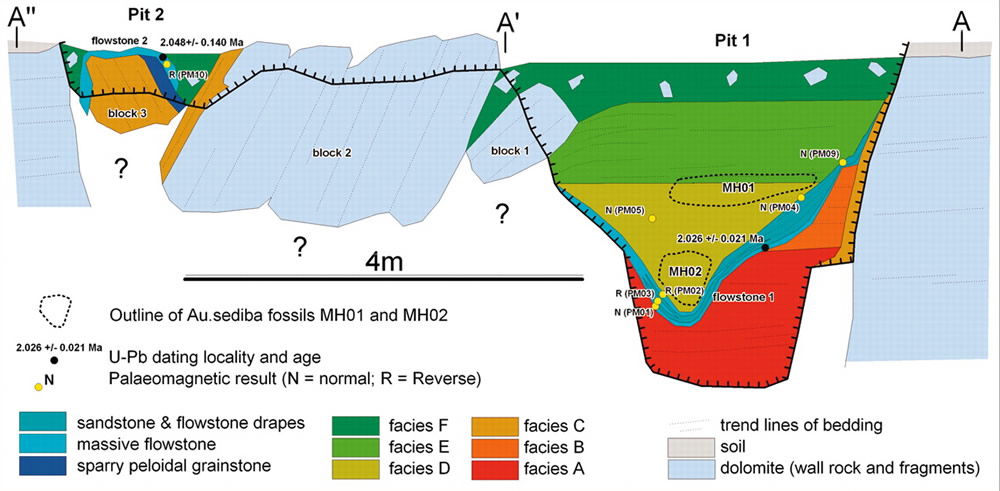 Cross-section of Malapa Site