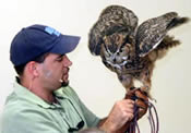 Dan Breeding with an owl