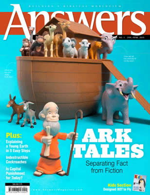 AM 10.1 Cover