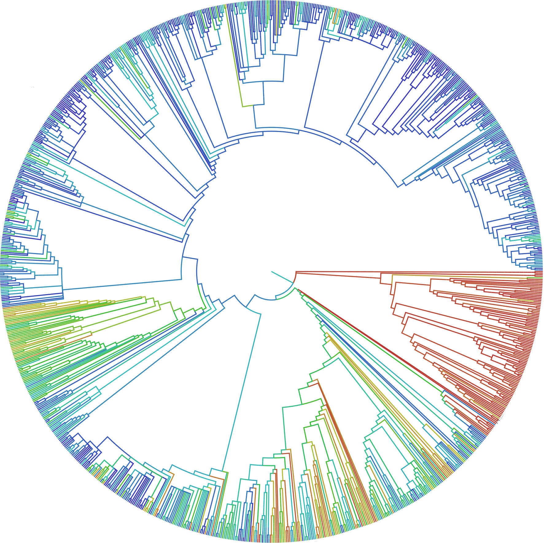 the evolutionary tree of life - tree of life evolution chart