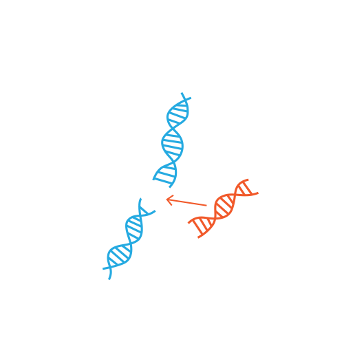 CRISPR replace