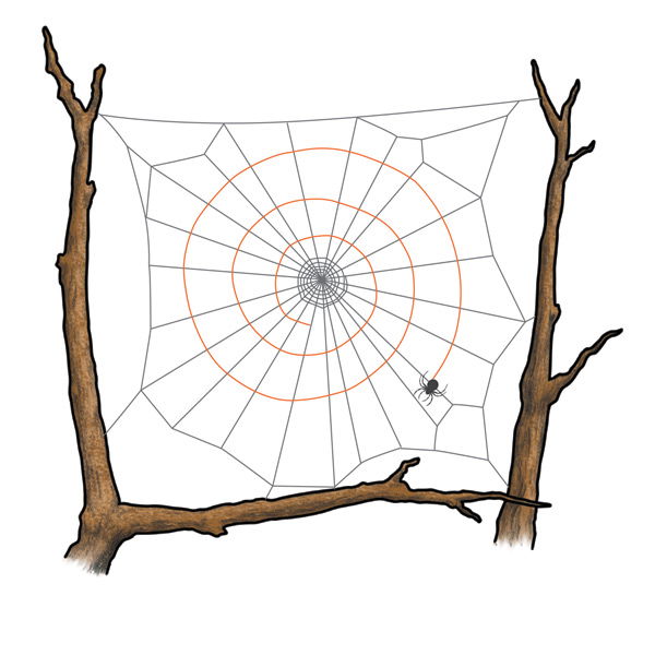 Spirals Through Time: Evolution of Orb-weaver Webs