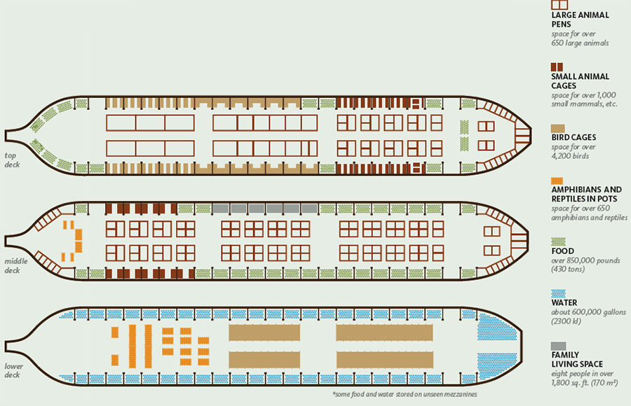 Ан 24 схема салона