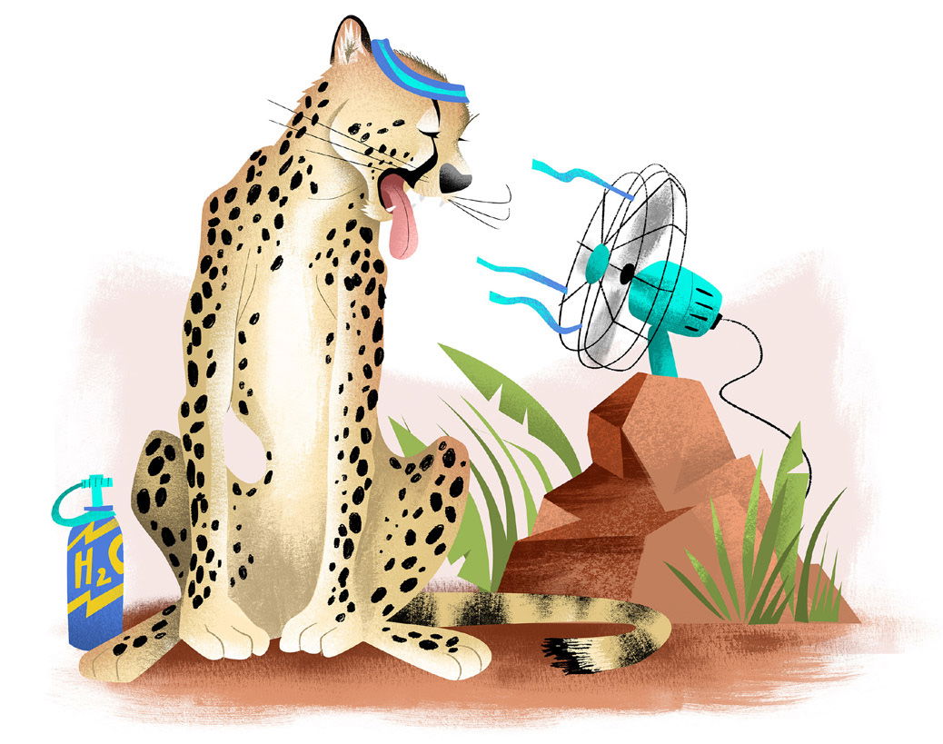 Cheetah Cooling