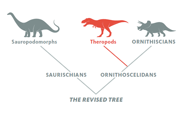 Revised Tree