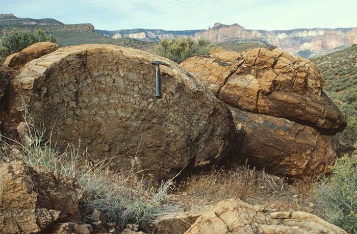 Grand Canyon Stromatolites