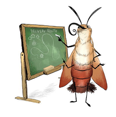 Moth Teacher