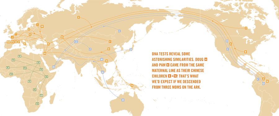 DNA Map