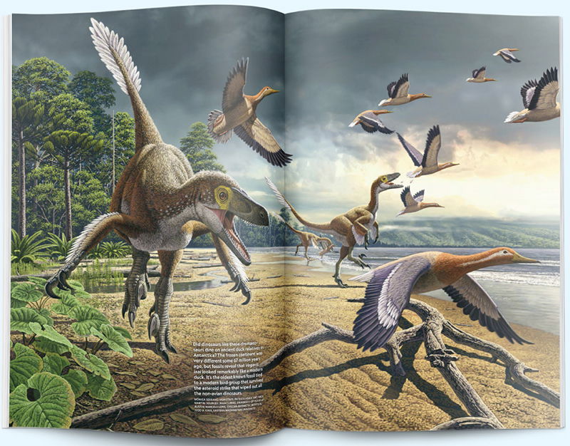 dinosaurs evolved into birds