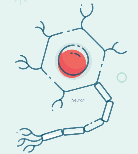 Neuron