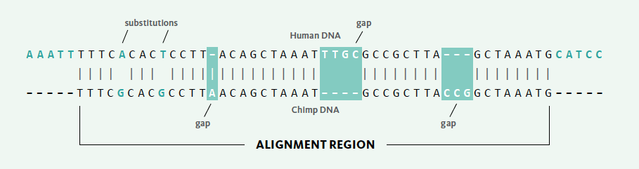 Alignment Region