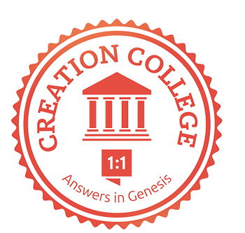 Creation Colleges