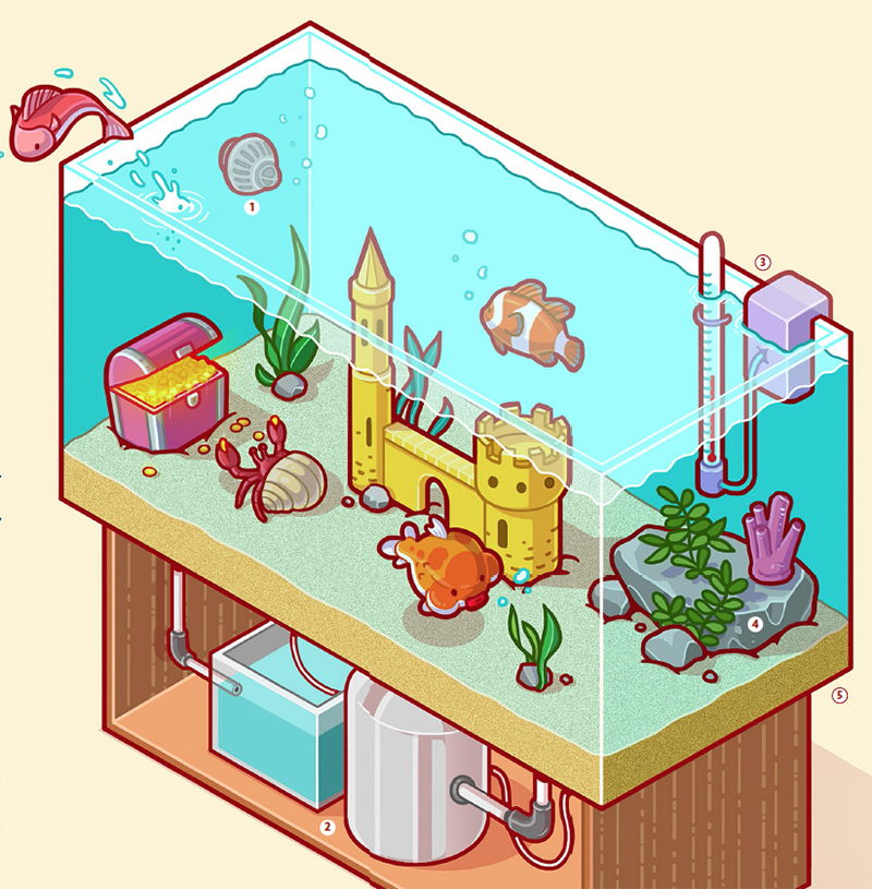 Fish Tank