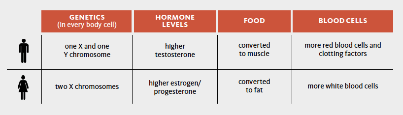 The Biology Of Gender Answers In Genesis