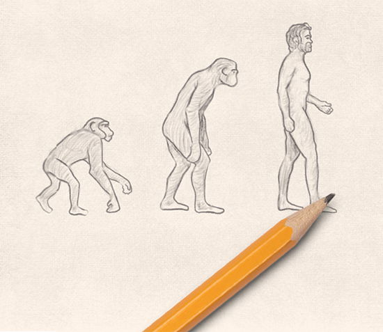 evolution drawing easy