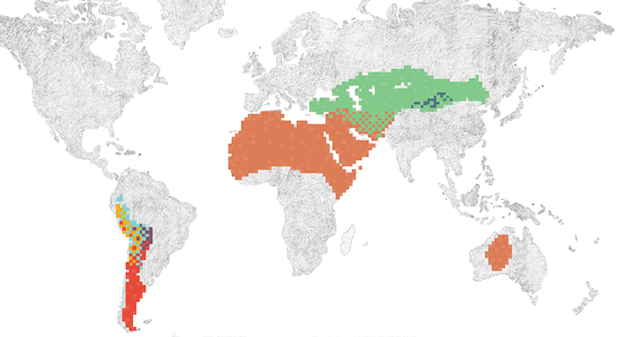 Camelid Map