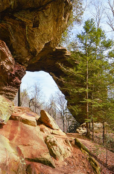 Gray's Arch