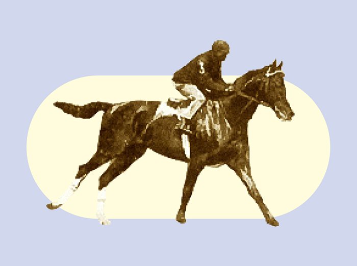Racehorse and jockey