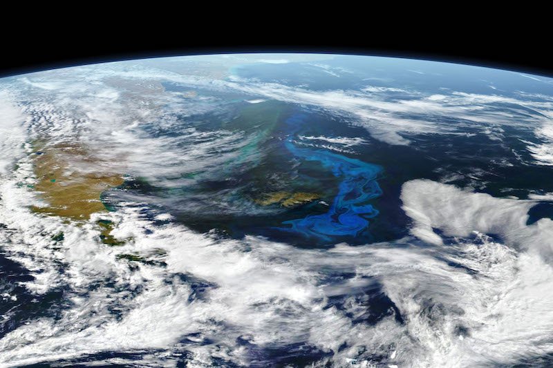Phytoplankton bloom visible from space
