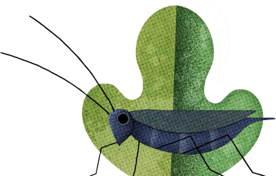 Cricket made of fabric