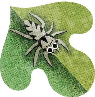 Jumping spider made of fabric