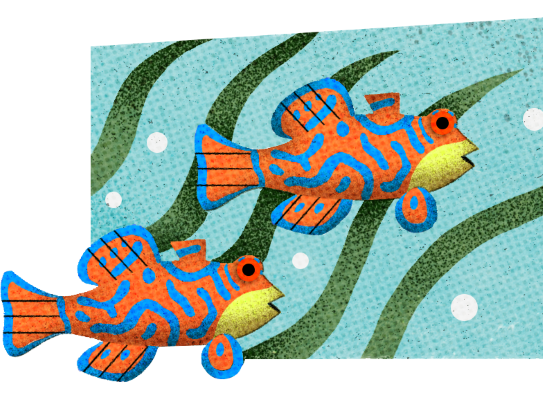 Mandarin fish made of fabric