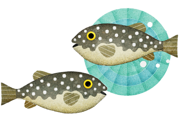 Spotted pufferfish made of fabric
