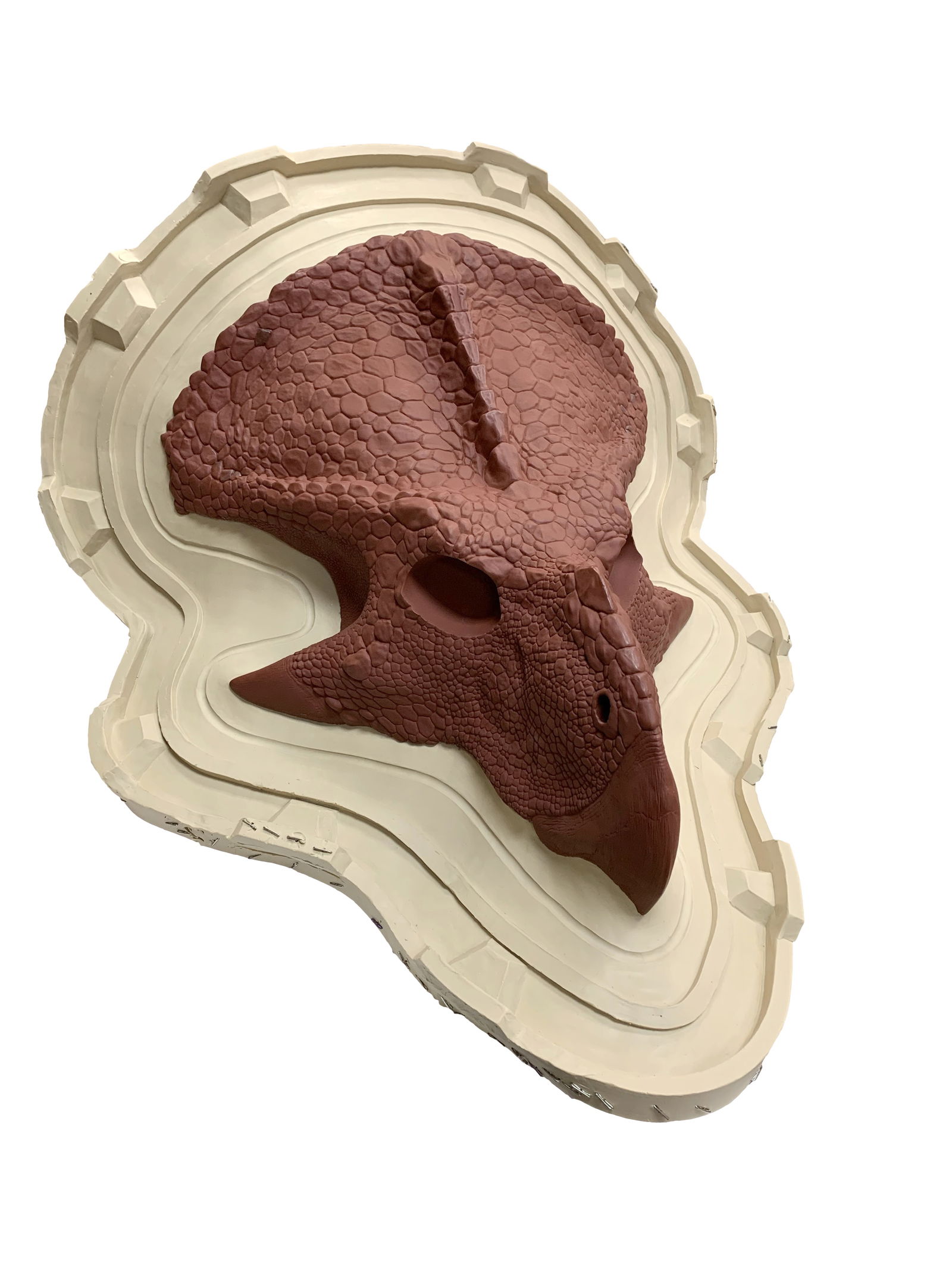 Protoceratops Head