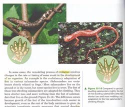 Page from Biology textbook