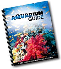 Aquarium Guide