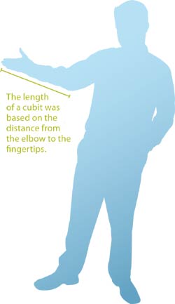 The length of a cubit was based on the distance from the elbow to the fingertips